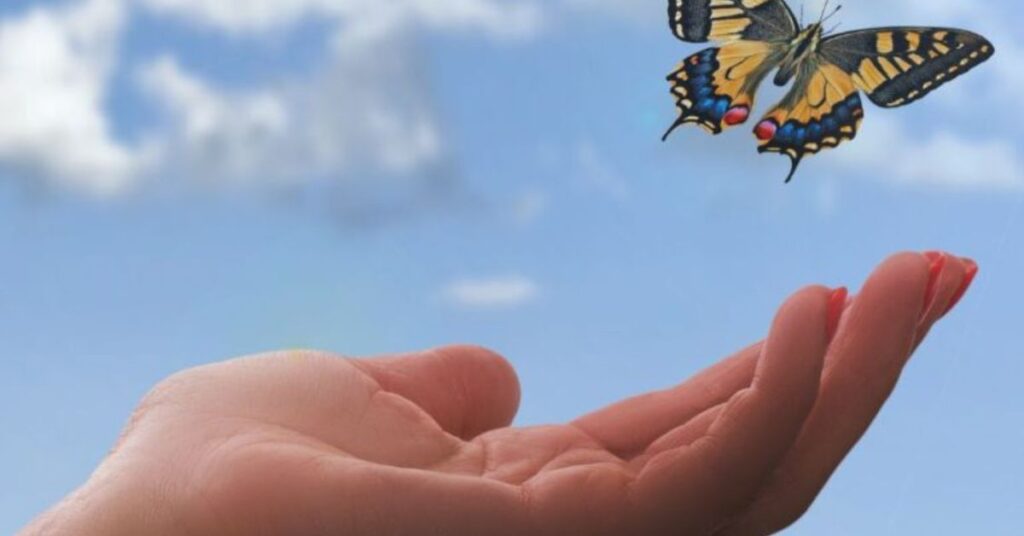 Butterfly Instagram captions