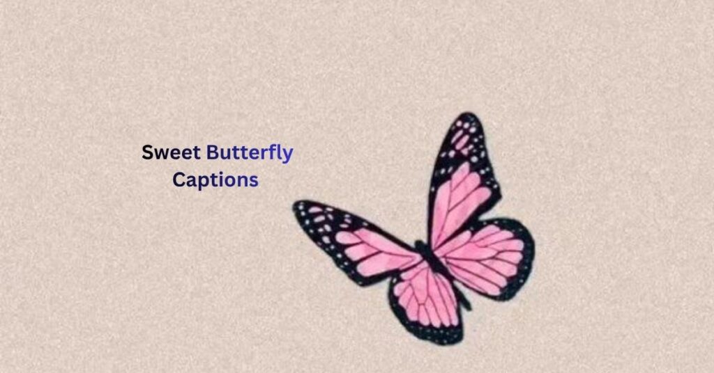 Butterfly Instagram captions
